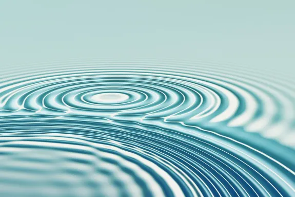 BetBeard Casino Ënnerstëtzung